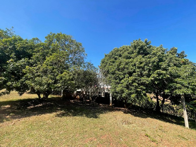 ขายที่ดินพร้อมบ้าน เจ้าของขายเอง เหมาะทำเป็นที่อยู่อาศัยหรือบ้านพักตากอากาศ  อำเภอด่านซ้าย จังหวัดเลย